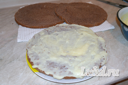 Шоколадный бисквит на кефире с заварным кремом рецепт с фото